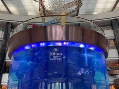 -佛山希尔顿酒店·融誉亚洲美食荟