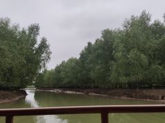 -东寨港红树林旅游区