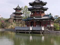 -迎泽公园