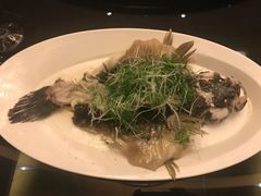 -北京四季酒店·采逸轩