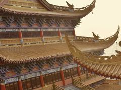 -东莞市大岭山森林公园