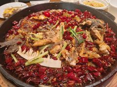 -老板恋上鱼(印象城店)