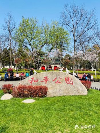 距离鸡鸣寺樱花大道不远的和平公园，人流量明显少了许多