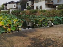 -祝甸砖窑文化馆