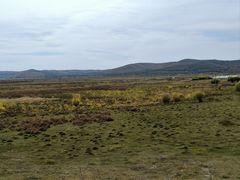 -塞罕坝国家级自然保护区