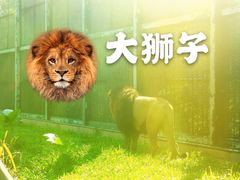 -广州动物园