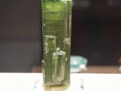 -中华赏石园