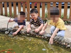 -蒙蒙狮蒙台梭利儿童之家
