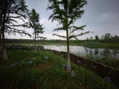 -呈贡滇池生态湿地公园