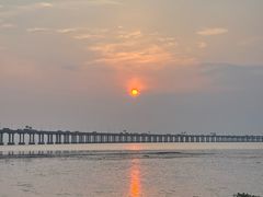 -宝安西湾红树林湿地公园