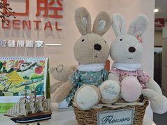 -土豆口腔(凤凰北总店)