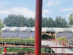 -天达烤全羊