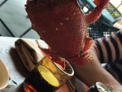 -松咖啡自助餐厅·松北香格里拉