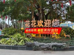 -南宁花花大世界景区