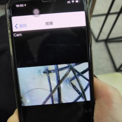 -蚂蚁造型沙龙