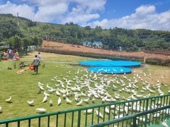 -瓷天下海丝谷