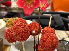 -椿记烧鹅(叠彩店)