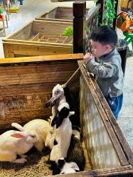 -酷嗒动物文化乐园(cutezoo西溪乐天城店)