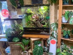 -Rabbit Cafe私房西餐甜点咖啡(栖霞路店)