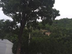 -延安杨家岭革命旧址