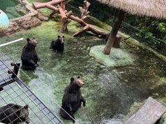 -深圳野生动物园