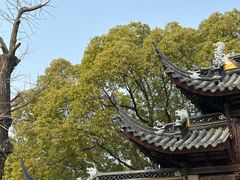 -西园戒幢律寺
