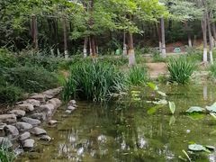 -云岗森林公园