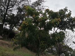 -那琴半岛地质海洋公园