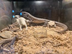 -太平洋海底世界