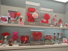 -ROSEONLY诺誓(国际广场购物中心店)