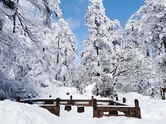 -瓦屋山景区