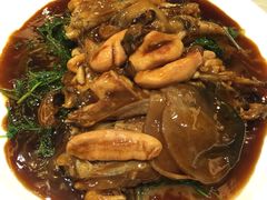 红烧菊黄河豚-鸿运酒楼