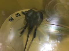 -上海昆虫博物馆