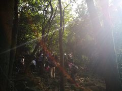 -火炉山森林公园