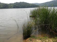 -南京市无想山景区