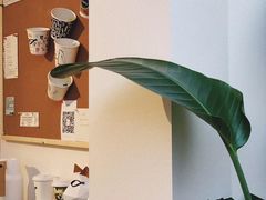 -Line 咖啡(石厦花园店)