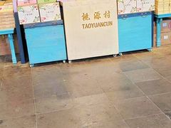 -桃源村(老门东店)