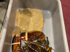 -鱼乐轩海鲜专门店