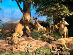 -国家自然博物馆