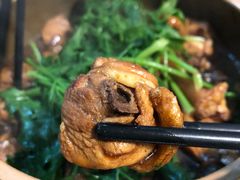 -食爺炭炉鸡煲·烧烤