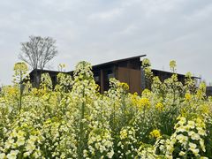 -中国天府农业博览园