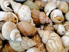 -昆山琶拉帝诗酒店·河畔咖啡厅Riverside Cafe