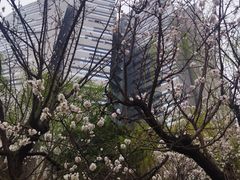 -南长河公园