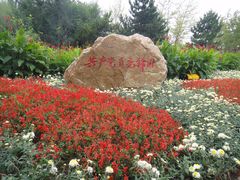 -长白岛森林公园