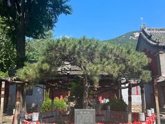 -泰山风景名胜区-普照寺