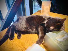 -MOKKA莫卡咖啡(大名路店)