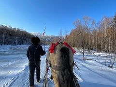 -亚布力新体委滑雪场