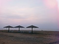 -长兴岛海滨公园