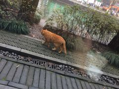 -星巴克(西湖天地店)
