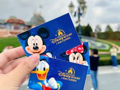 -上海迪士尼度假区